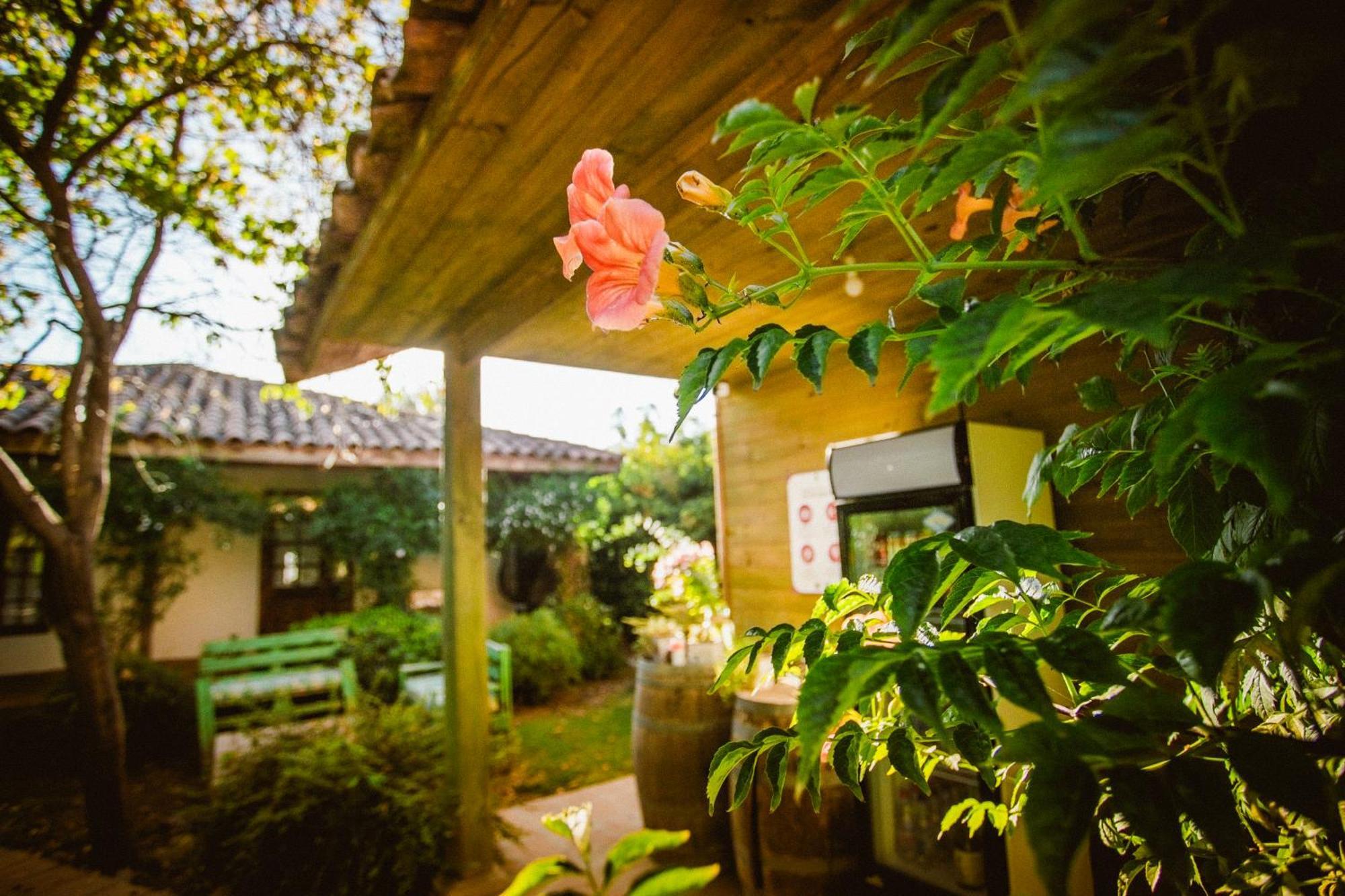 Hotel Hoja De Parra Santa Cruz Kültér fotó